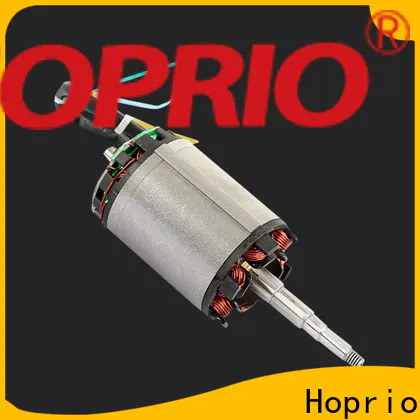 Motore brushless ad alta potenza a risparmio energetico personalizzato per elettrodomestici