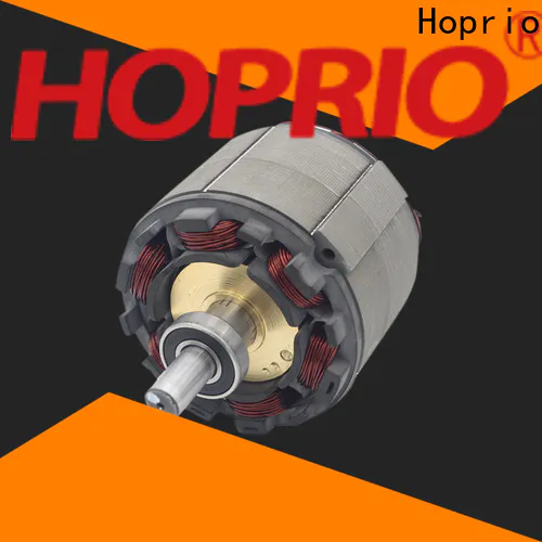 Hoprio bldc motor aangepas vir elektriese voertuie