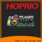 Hoprio borstelloze motorcontroller met variabele snelheid, hoge fabrikant
