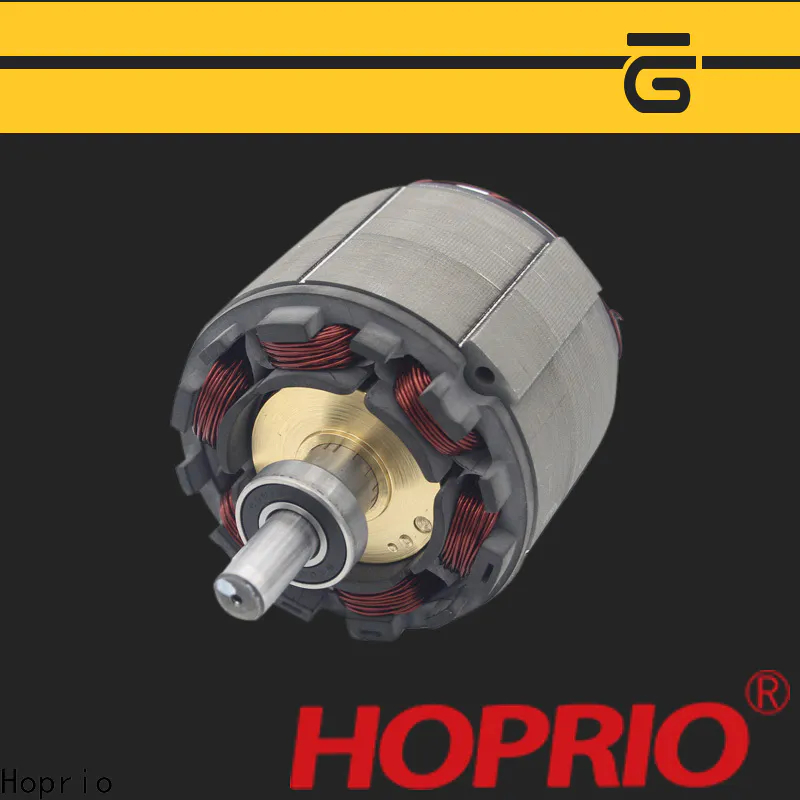 மருத்துவ உபகரணங்களுக்கான ஹோப்ரியோ உயர் செயல்திறன் dc மோட்டார்
